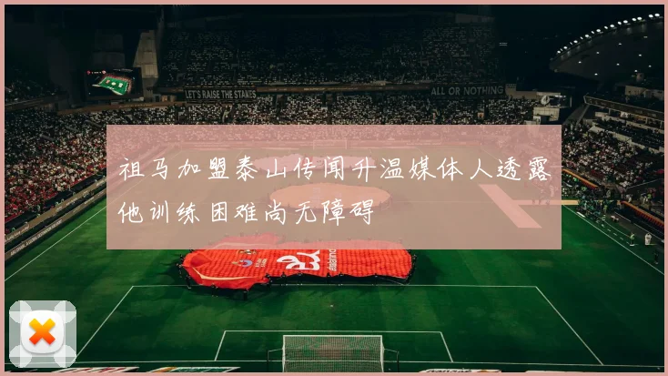 祖马加盟泰山传闻升温媒体人透露他训练困难尚无障碍